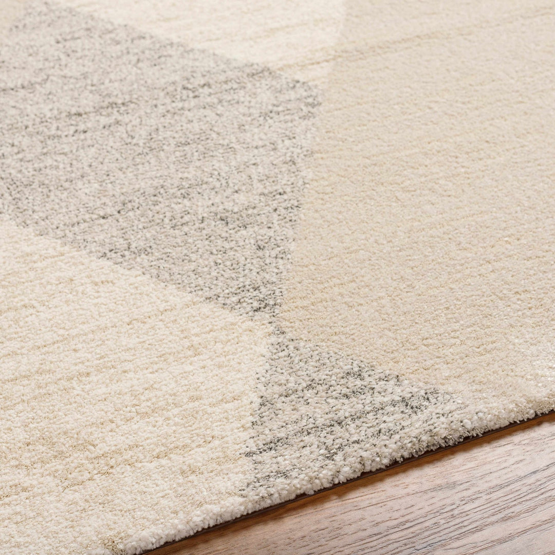 Contemporary Style Ivory Machine Woven Rug - The Rug Decor