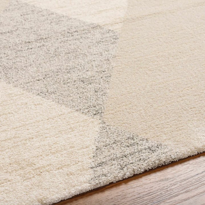 Contemporary Style Ivory Machine Woven Rug - The Rug Decor