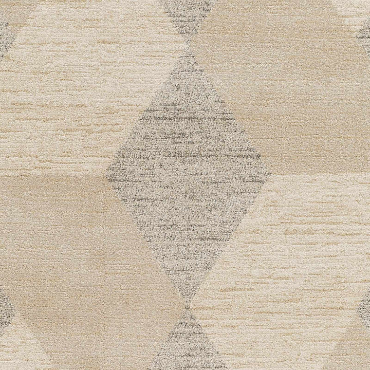 Contemporary Style Ivory Machine Woven Rug - The Rug Decor