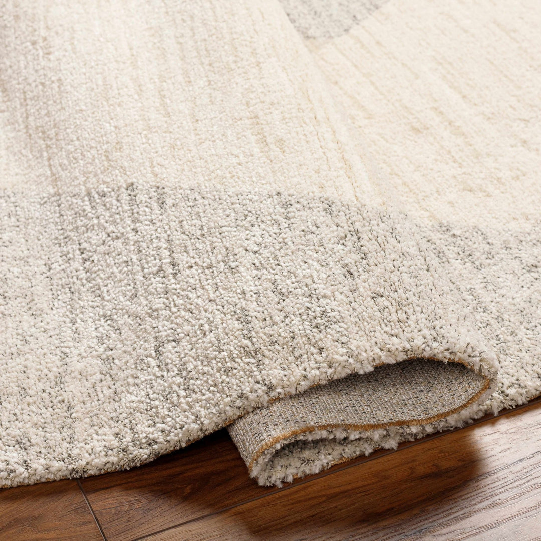 Contemporary Style Ivory Machine Woven Rug - The Rug Decor
