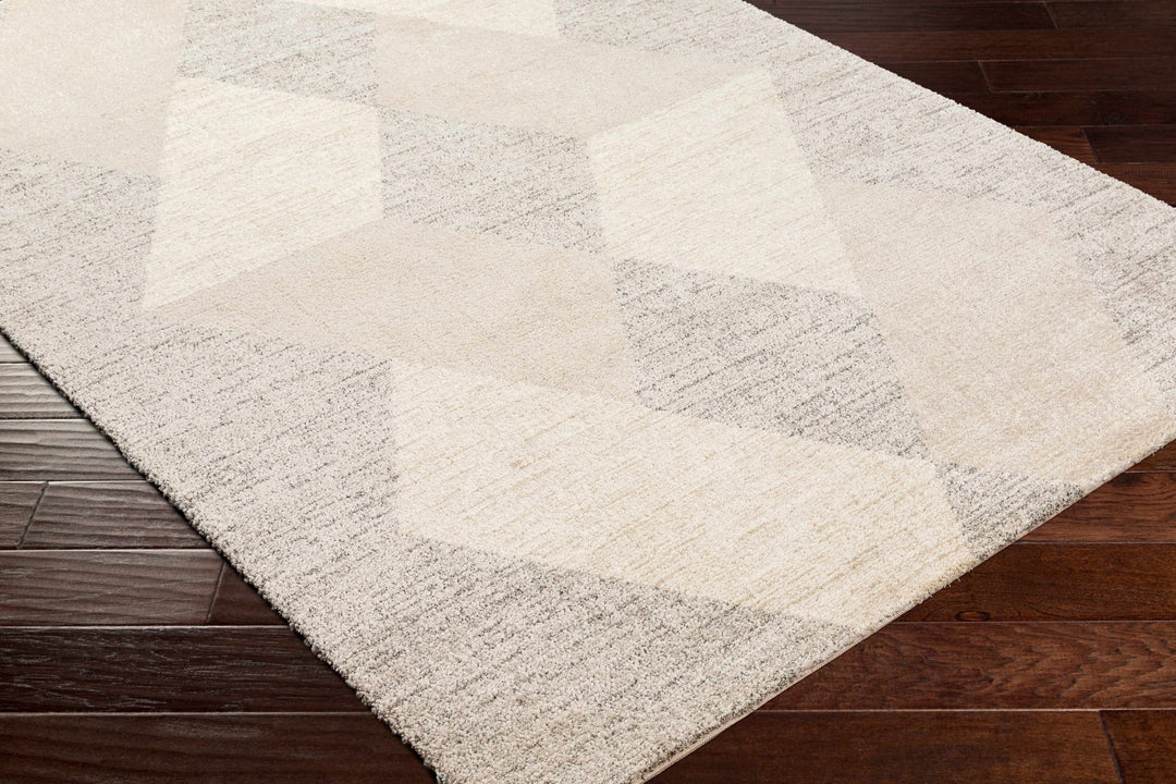 Contemporary Style Ivory Machine Woven Rug - The Rug Decor
