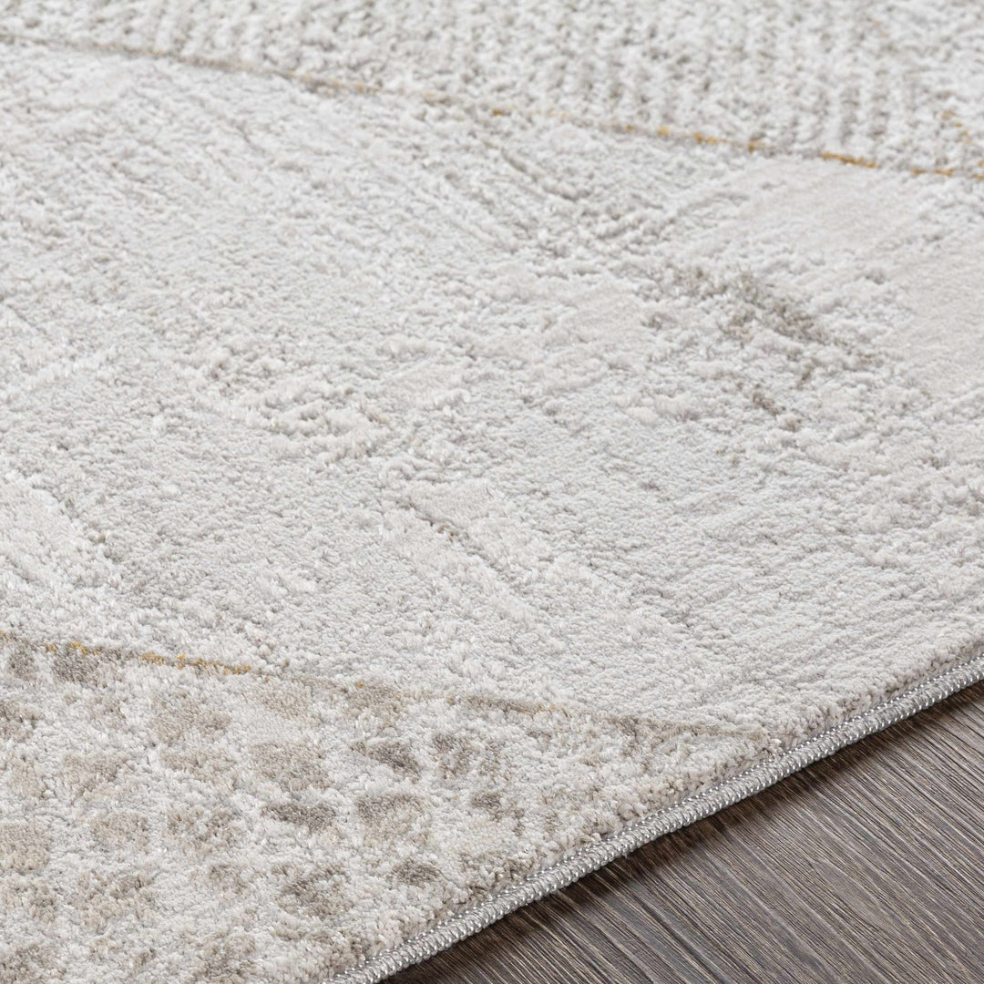 Contemporary Style Taupe Machine Woven Area Rug - The Rug Decor