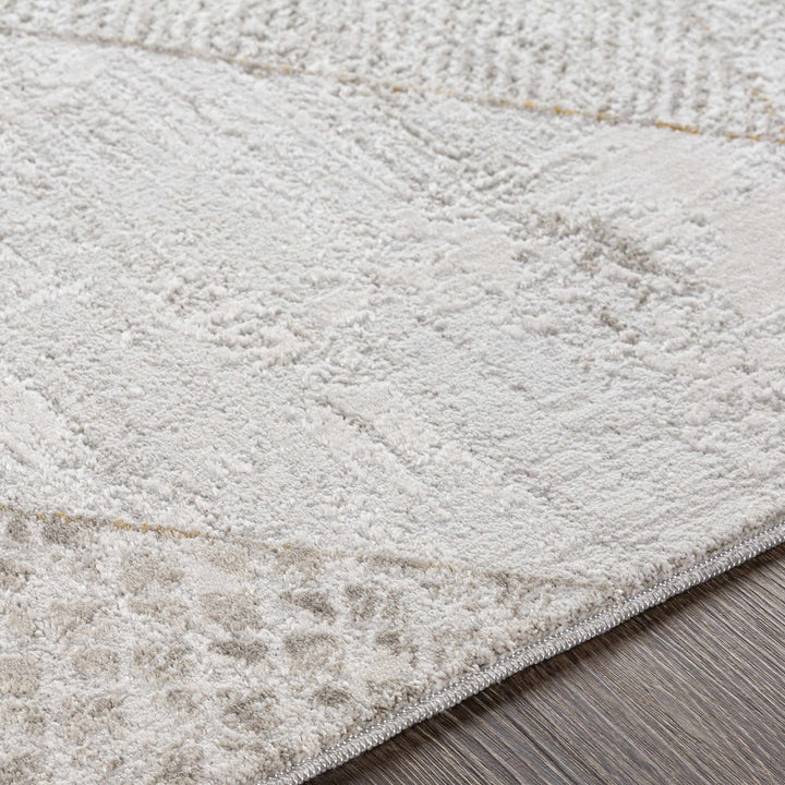 Contemporary Style Taupe Machine Woven Area Rug - The Rug Decor