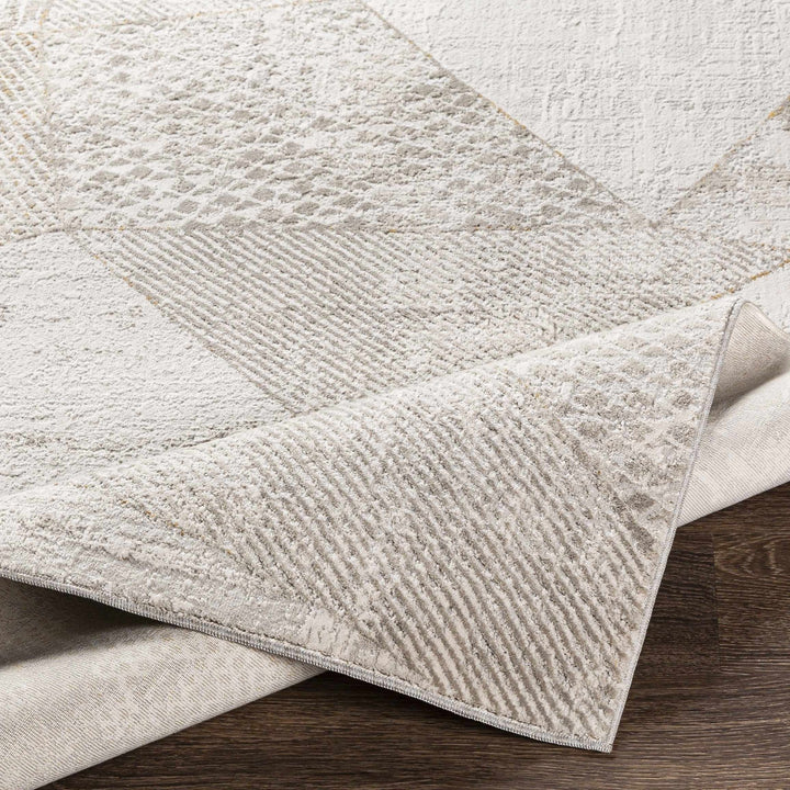 Contemporary Style Taupe Machine Woven Area Rug - The Rug Decor