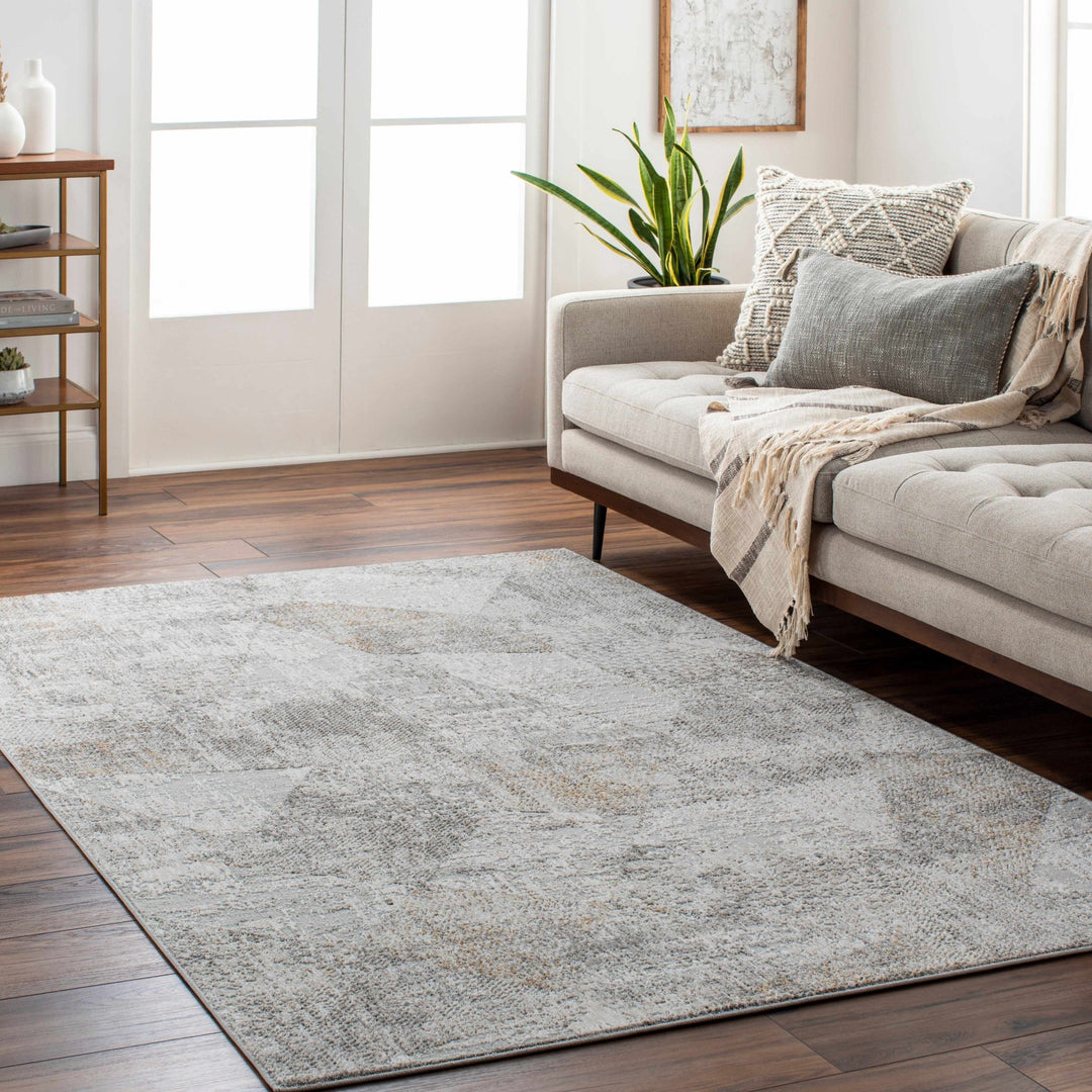 Contemporary Style Taupe Machine Woven Area Rug - The Rug Decor