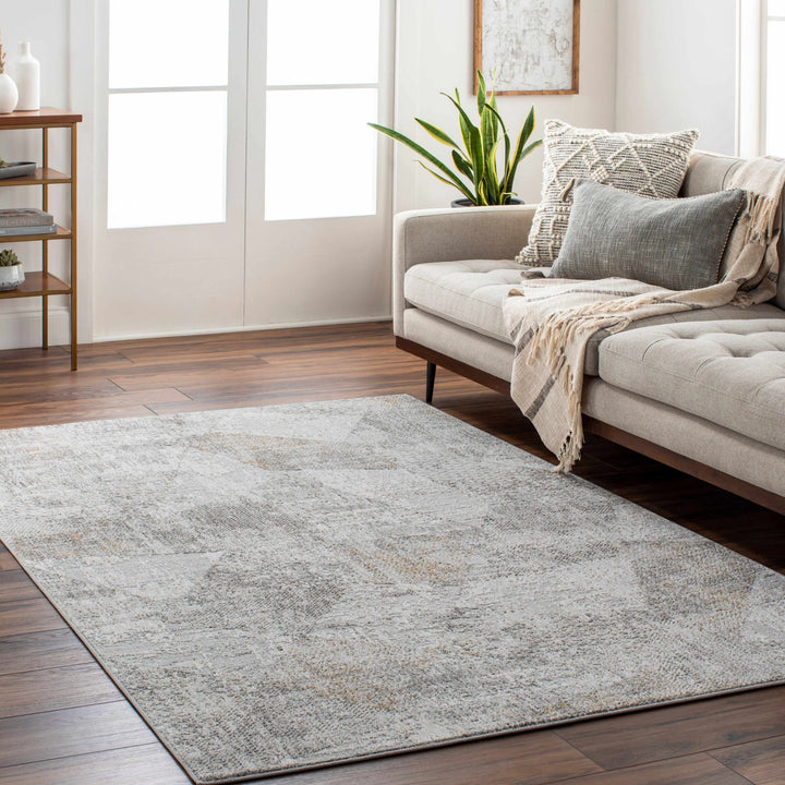 Contemporary Style Taupe Machine Woven Area Rug - The Rug Decor