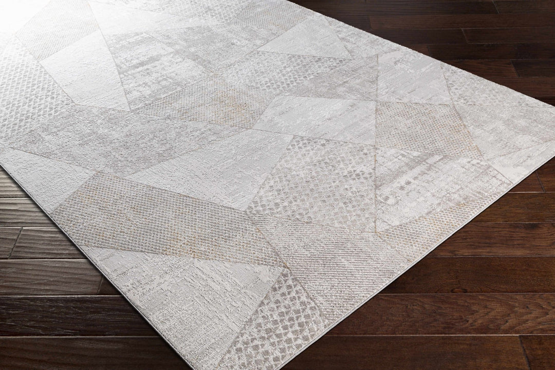 Contemporary Style Taupe Machine Woven Area Rug - The Rug Decor