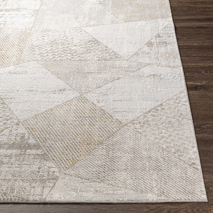 Contemporary Style Taupe Machine Woven Area Rug - The Rug Decor