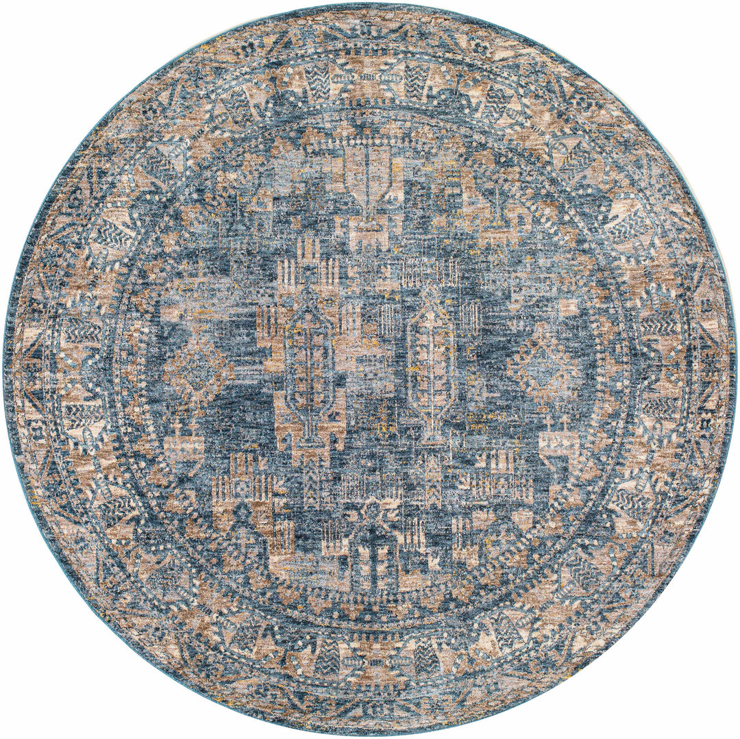 Cooranbong Teal And Brown Traditional Style Area Rug
