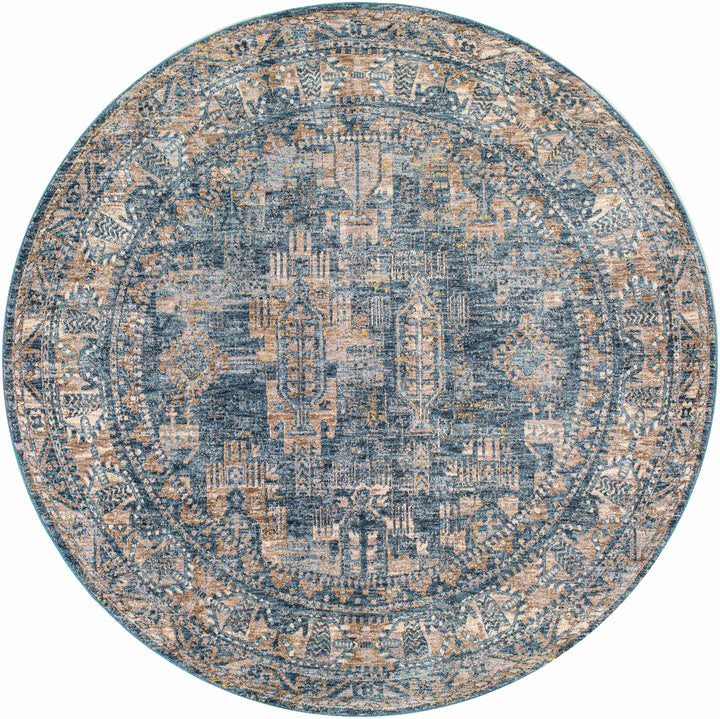Cooranbong Teal And Brown Traditional Style Area Rug