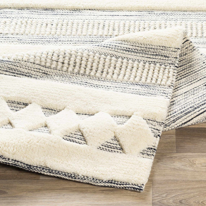 Corry Modern Style Ivory And Black Hand Woven Area Rug