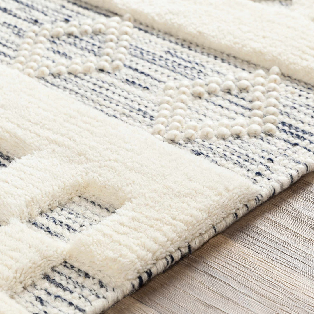 Corry Modern Style Ivory And Black Hand Woven Area Rug - The Rug Decor