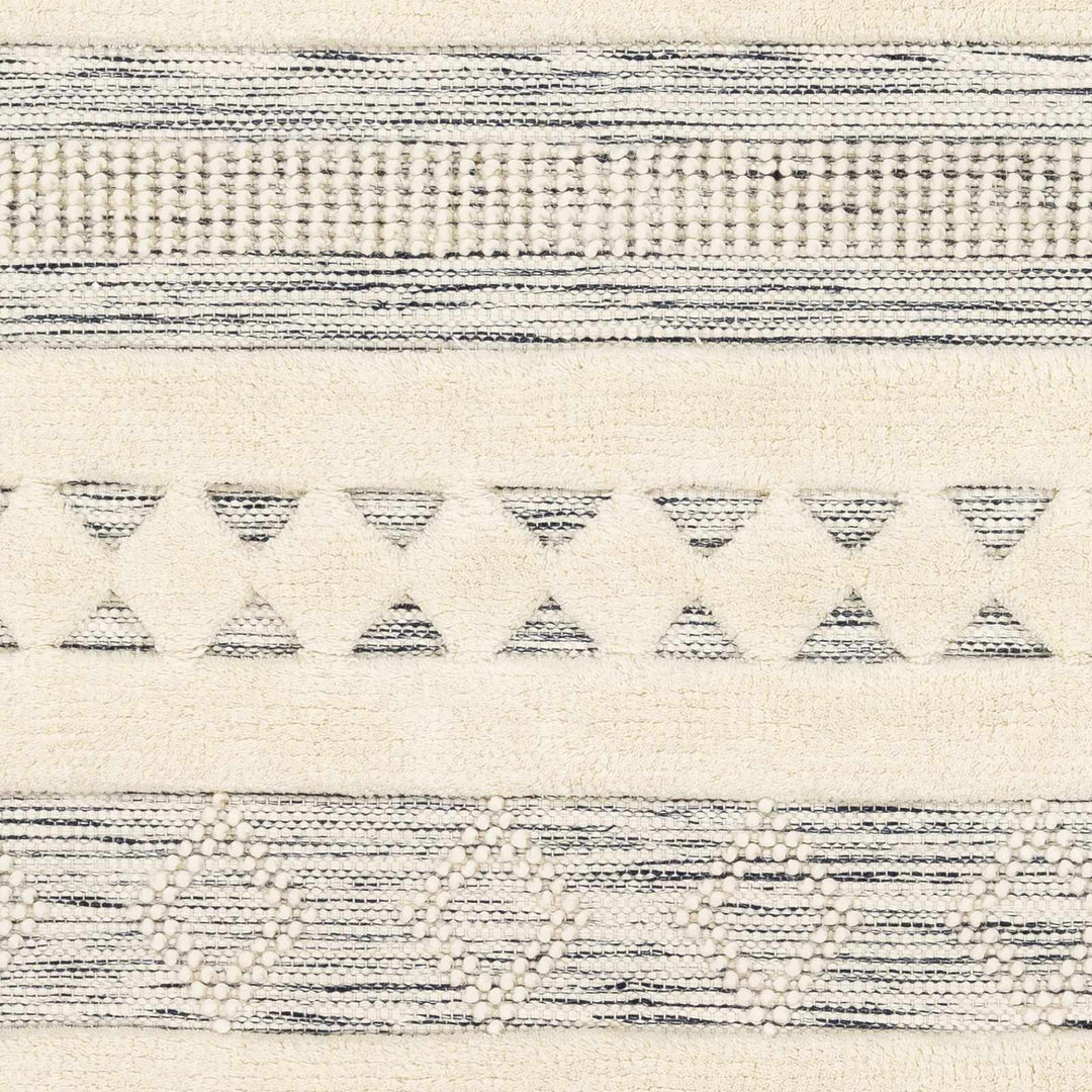 Corry Modern Style Ivory And Black Hand Woven Area Rug