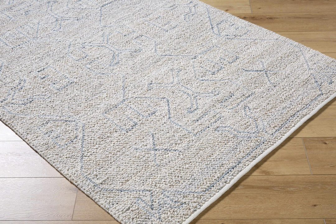 Cosmin Contemporary Style Beige Hand Woven Outdoor Area Rug - The Rug Decor