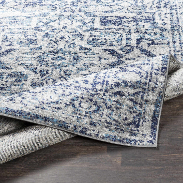 Costigan Traditional Style Blue And Gray Area Rug - The Rug Decor