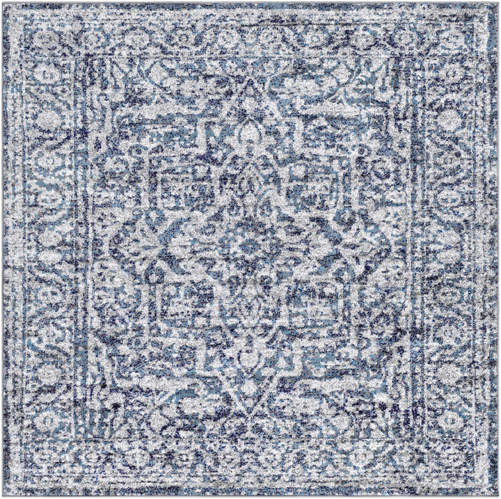 Costigan Traditional Style Blue And Gray Area Rug - The Rug Decor