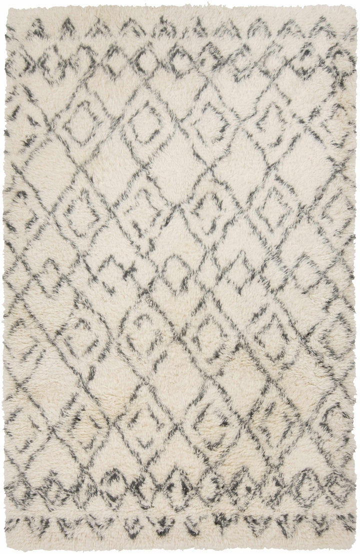 Cotgrave Hand Woven Modern Style Ivory And Charcoal Area Rug - The Rug Decor