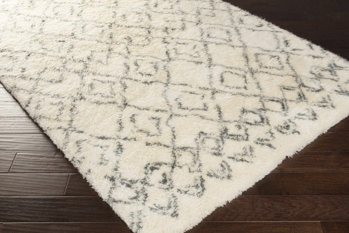 Cotgrave Hand Woven Modern Style Ivory And Charcoal Area Rug - The Rug Decor