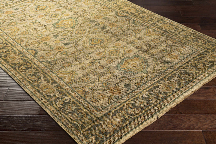 Coylton Olive And Beige Traditional Style Hand Knotted Area Rug - The Rug Decor