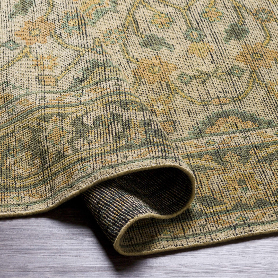 Coylton Olive And Beige Traditional Style Hand Knotted Area Rug - The Rug Decor