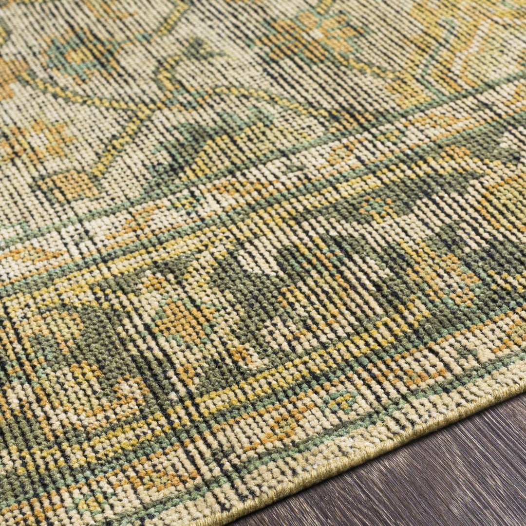Coylton Olive And Beige Traditional Style Hand Knotted Area Rug - The Rug Decor