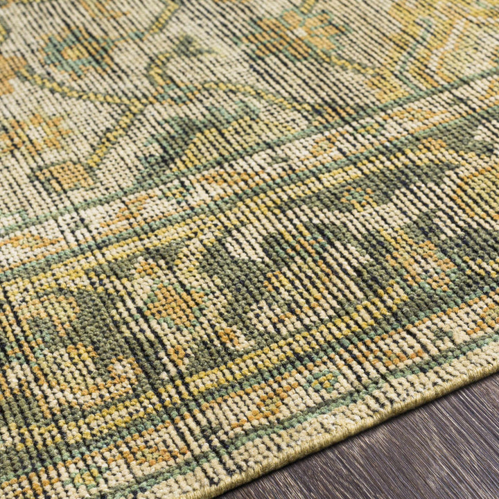 Coylton Olive And Beige Traditional Style Hand Knotted Area Rug - The Rug Decor