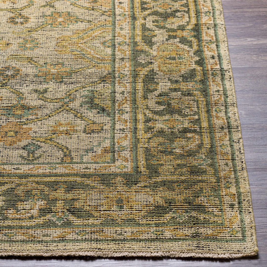 Coylton Olive And Beige Traditional Style Hand Knotted Area Rug - The Rug Decor