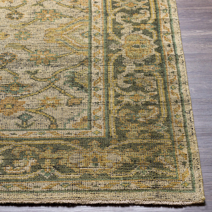 Coylton Olive And Beige Traditional Style Hand Knotted Area Rug - The Rug Decor