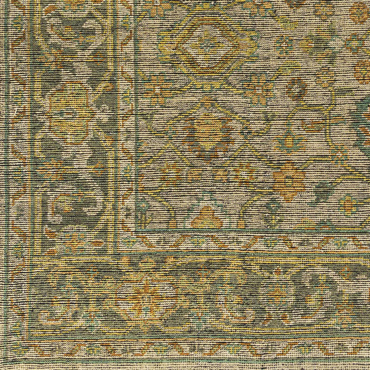 Coylton Olive And Beige Traditional Style Hand Knotted Area Rug - The Rug Decor
