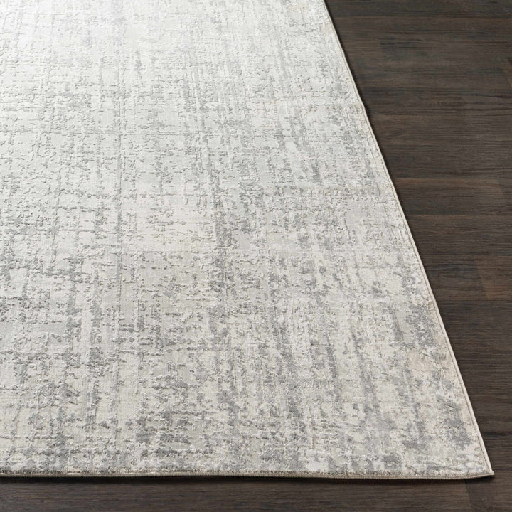 Cozahome Gray Modern Abstract Design Area Rug - The Rug Decor