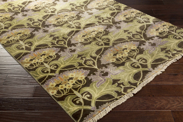 Crawley Traditional Brown And Green Hand Knotted Wool Area Rug