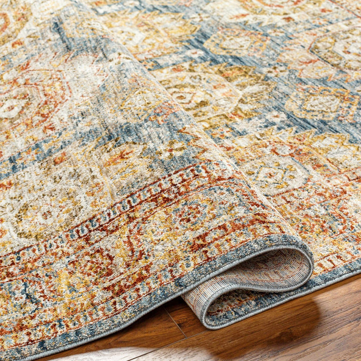 Crescentia Traditional Style Blue & Rust Area Rug - The Rug Decor
