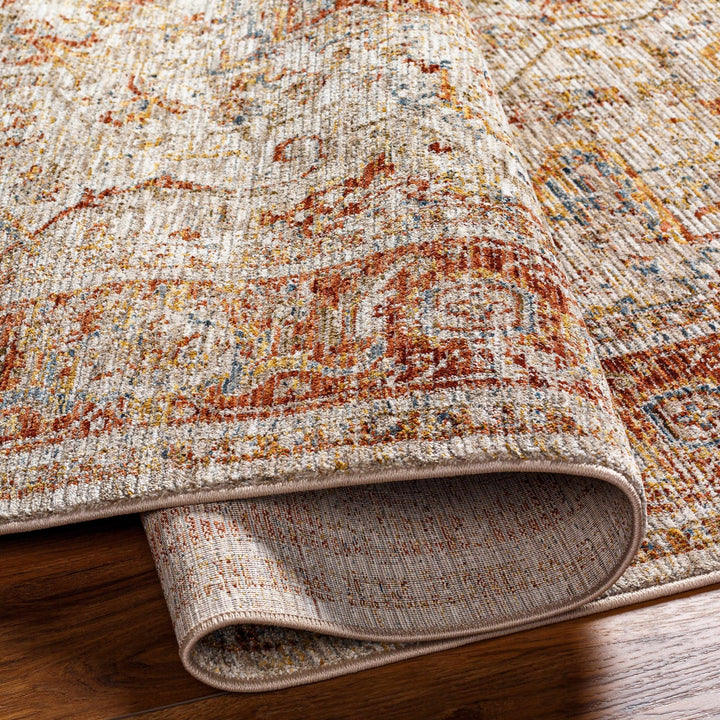 Cress Traditional Medallion Rust And Beige Area Rug - The Rug Decor