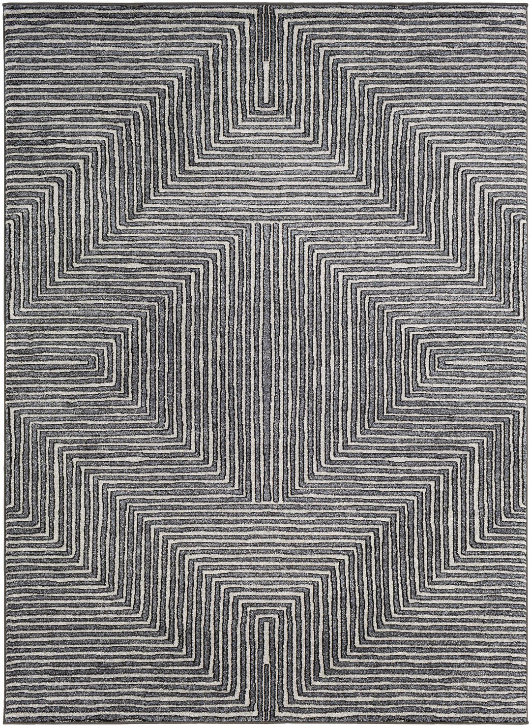 Carnarvon Charcoal And Gray Modern Style Area Rug