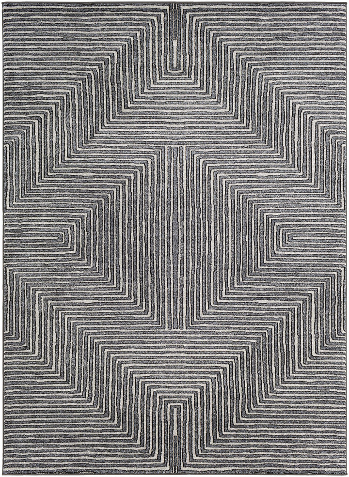 Carnarvon Charcoal And Gray Modern Style Area Rug