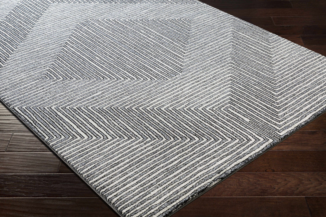 Carnarvon Charcoal And Gray Modern Style Area Rug
