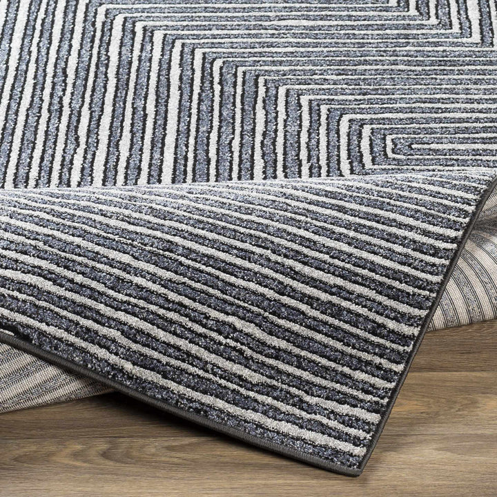 Carnarvon Charcoal And Gray Modern Style Area Rug