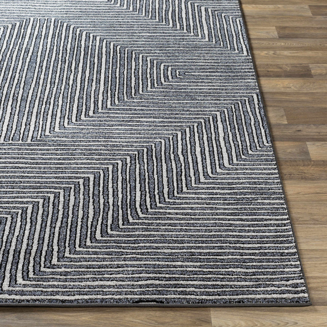 Carnarvon Charcoal And Gray Modern Style Area Rug