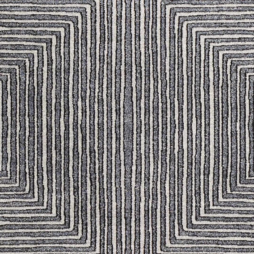 Carnarvon Charcoal And Gray Modern Style Area Rug