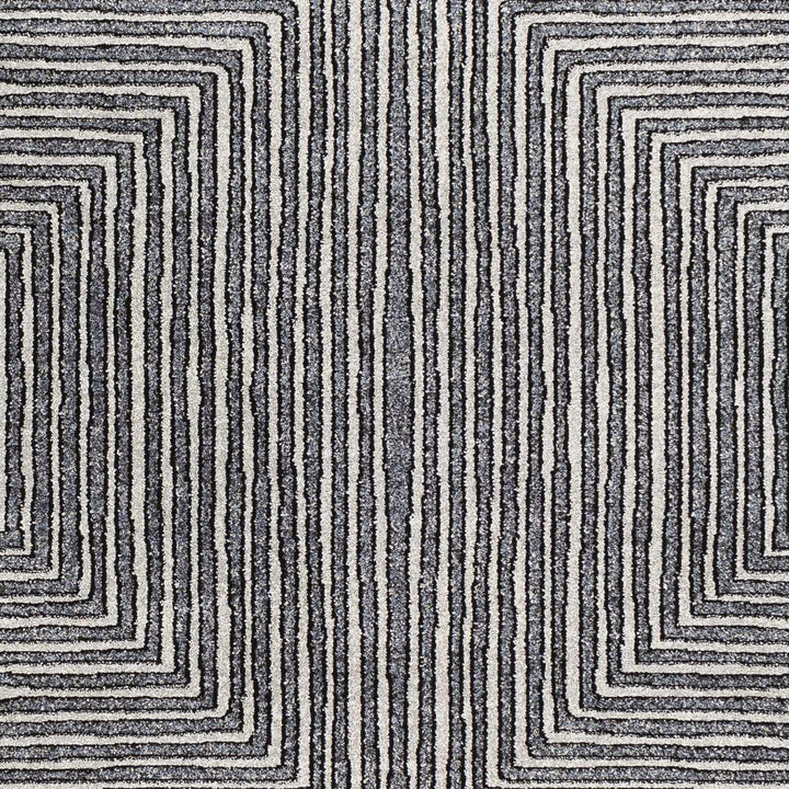 Carnarvon Charcoal And Gray Modern Style Area Rug