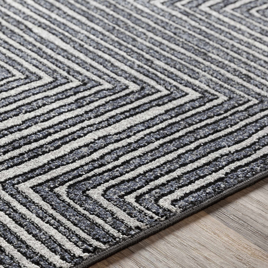 Carnarvon Charcoal And Gray Modern Style Area Rug