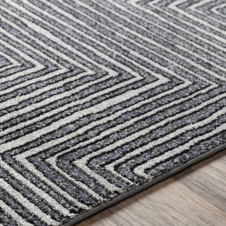 Carnarvon Charcoal And Gray Modern Style Area Rug