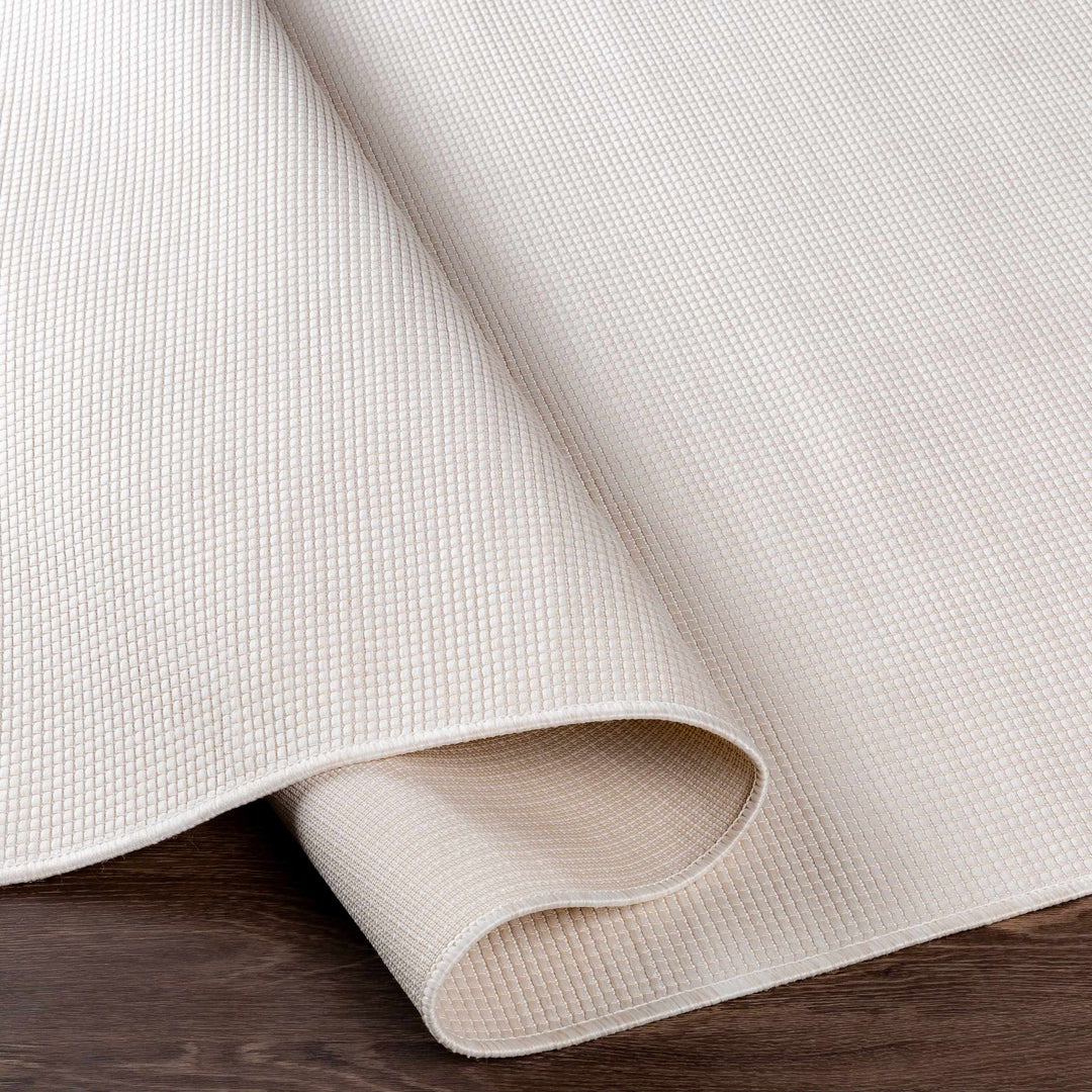 Currimundi Modern Style Ivory Outdoor Area Rug