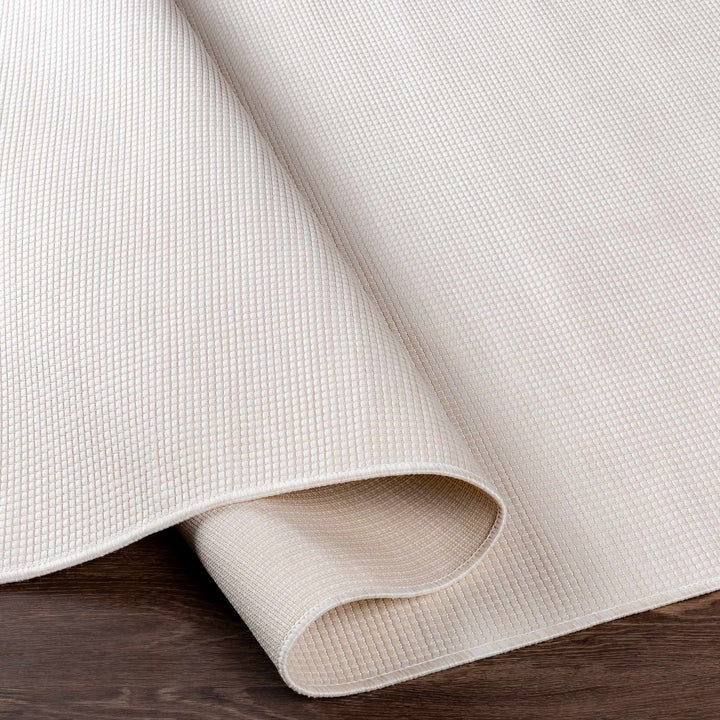 Currimundi Modern Style Ivory Outdoor Area Rug
