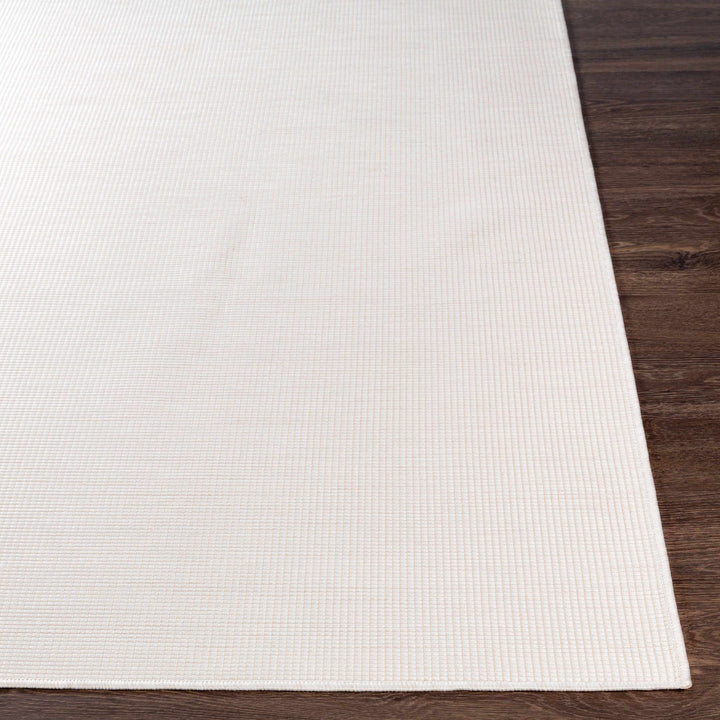 Currimundi Modern Style Ivory Outdoor Area Rug