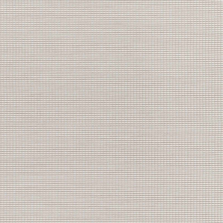 Currimundi Modern Style Ivory Outdoor Area Rug