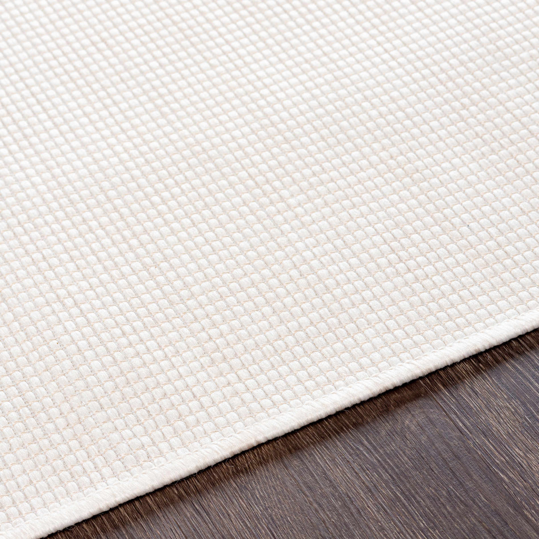Currimundi Modern Style Ivory Outdoor Area Rug