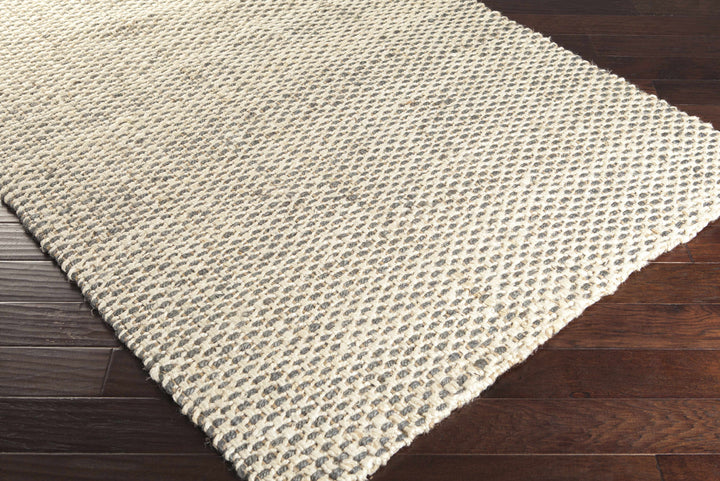 Carrier Beige And Gray Modern Style Area Rug