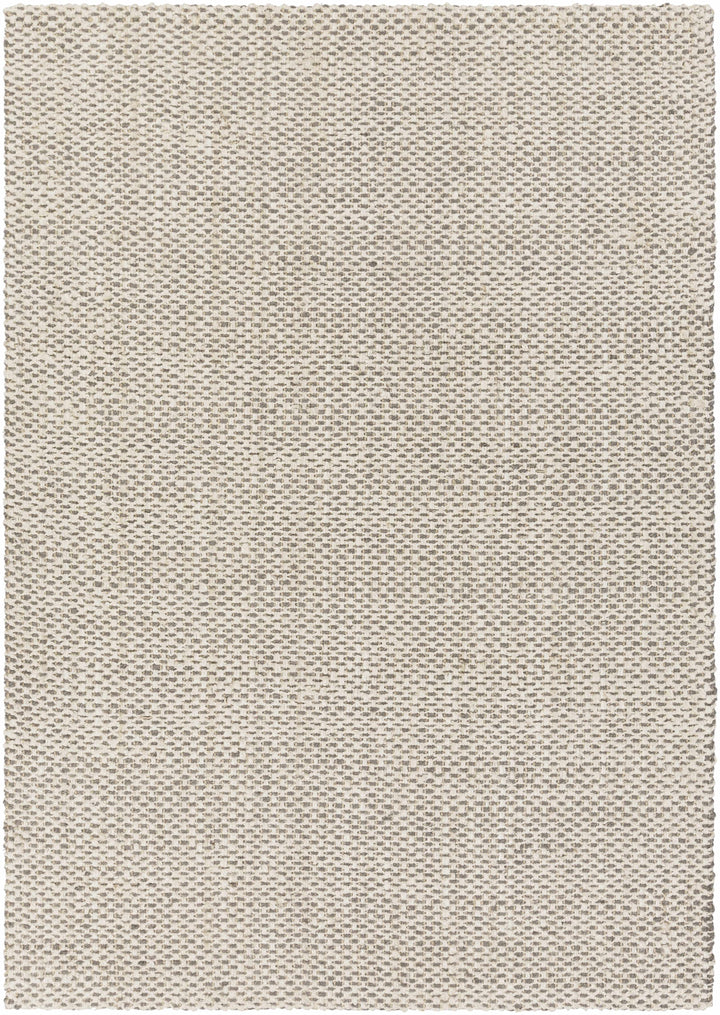 Carrier Beige And Gray Modern Style Area Rug