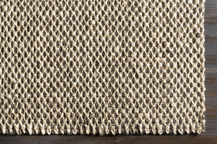 Carrier Beige And Gray Modern Style Area Rug